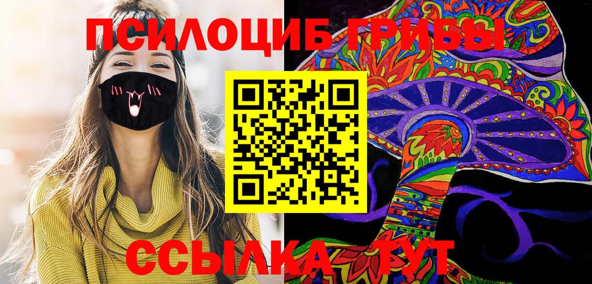 Азов  Псилоцибиновые грибы Psilocybe  где можно купить наркотик  Вход с VPN 